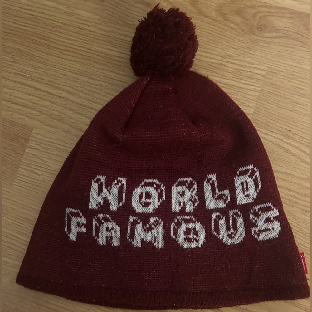 SUPREME World Famous Beanie